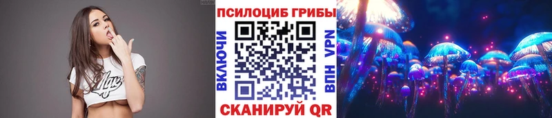 Галлюциногенные грибы прущие грибы  Зеленокумск 
