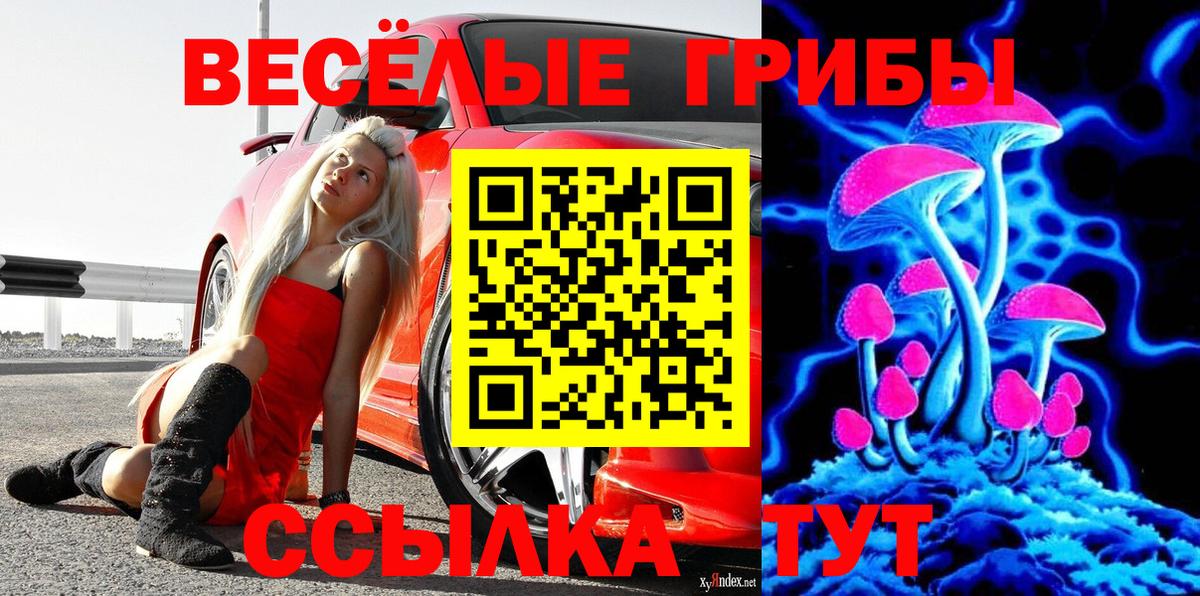 Псилоцибиновые грибы Magic Shrooms  цена наркотик  Вход с VPN  Зеленокумск  Галлюциногенные грибы Magic Shrooms 