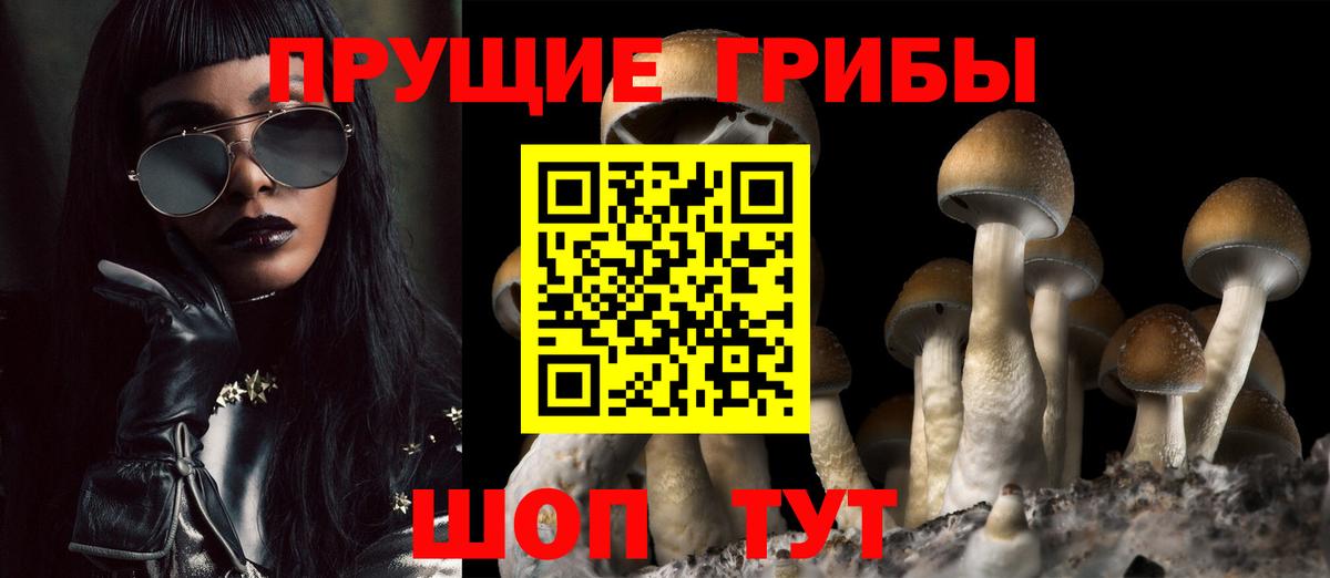 Галлюциногенные грибы Зеленокумск