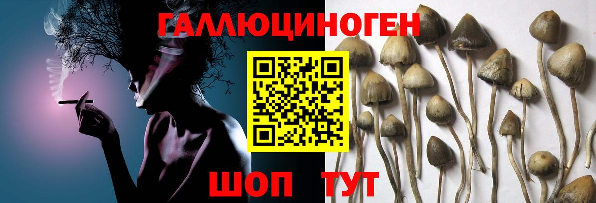 Галлюциногенные грибы MAGIC MUSHROOMS Зеленокумск